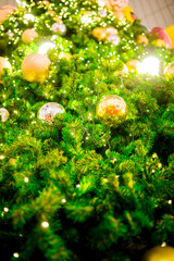Obraz na płótnie Canvas Shine to Christmas tree for christmas holiday background