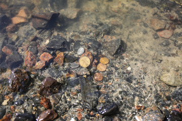 Coins in the water. Treasure lying in the lake.