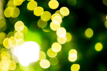 Bokeh from lighting of green christmas tree