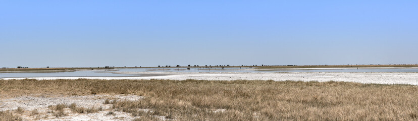 Panoramic of the Nwetwe, Makgadikgadi Pan in Botswana