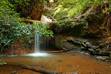 Lower Golden Cascade: Waterfall on Berry Creek Trail, Big Basin, CA