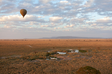 aerial view of the serengeti africa