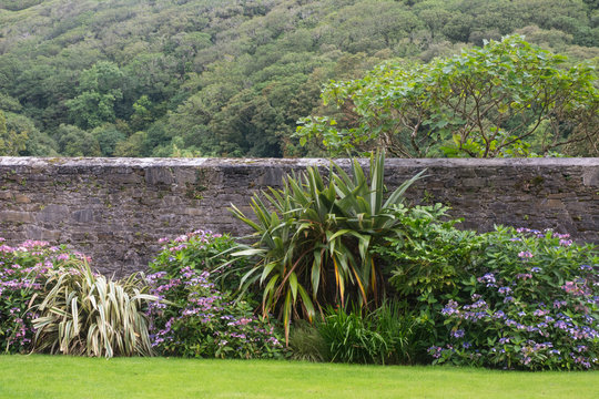 Garden Wall