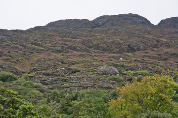 Rocky Mountainside