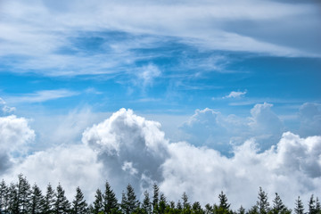 Fototapeta premium Cloud sea of Mt. Fuji
