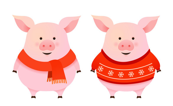 Cute pigs, vector christmas winter characters isolated on white background