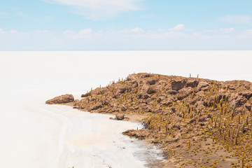 Salar de Uyuni salt plains with large cactuses of island Incahuasi. Bolivia.