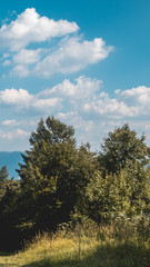 Obraz premium Smartphone HD wallpaper of beautiful view at Hohenbogen summit - Bavaria - Germany