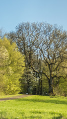 Smartphone HD wallpaper of beautiful view near Metten - Bavaria - Germany