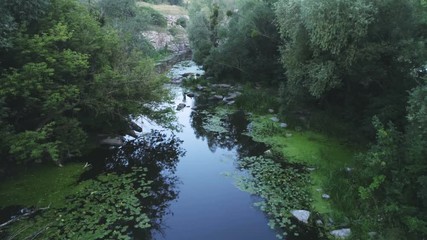 Aerial of a snaky mountain stream covered with branches and wetland in summer
