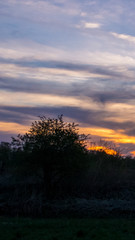 Fototapeta na wymiar Smartphone HD wallpaper of beautiful sunset near Kuehmoos - Bavaria - Germany