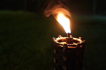 close up torch and fire in the night garden.