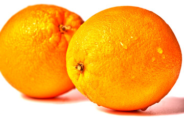 orange with water drops on white background