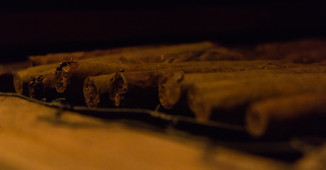 Museu del Tabac II