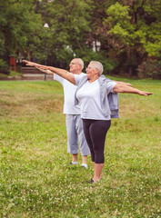 Senior exercise - healthy aged couple resting after sport exercises- together we workout better.