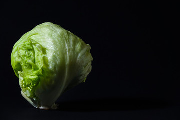 Iceberg lettuce leaf head. Black background with copy space.