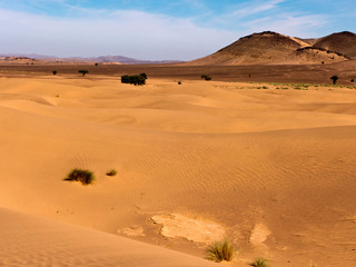 Fototapeta na wymiar Trekking Tour durch die Wüste Sahara im Süden Marokko. 
