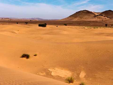 Trekking Tour durch die Wüste Sahara im Süden Marokko. 