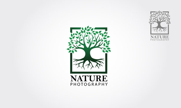 Green tree photography Logo template. Clean and modern style on white background - Vector 