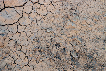 cracked mud texture 003