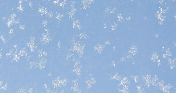 Snowflakes on the glass