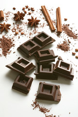 pieces of chocolate, cinnamon, star anise and cocoa powder on the white background