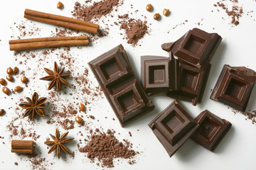 pieces of chocolate, cinnamon, star anise and cocoa powder on the white background