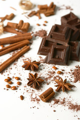 pieces of chocolate, cinnamon, star anise and cocoa powder on the white background