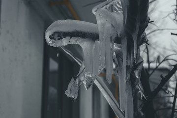 Icicles on the tree