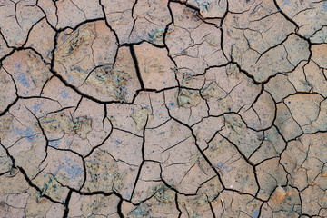 cracked mud texture 006