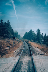 Tracks in the national park Harz