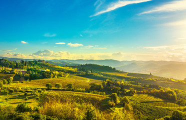 Panzano in Chianti vineyard and panorama at sunset. Tuscany, Italy