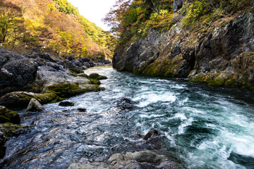 Takatsudo Gorges wrapped in autumn leaves / Takatsudo Gorges is a valley in Takatsudo Omama-machi, Midori-city, Gunma Prefecture, Japan.