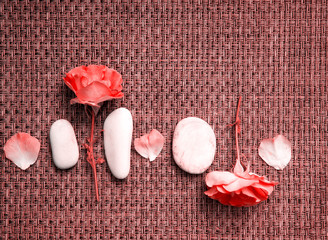 pink flowers, living coral, color of the 2019 year