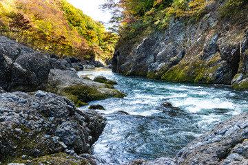 Fototapeta na wymiar Takatsudo Gorges wrapped in autumn leaves / Takatsudo Gorges is a valley in Takatsudo Omama-machi, Midori-city, Gunma Prefecture, Japan.
