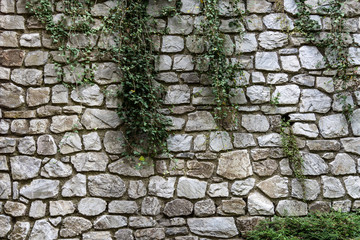 A wall of large white stone on which grows ivy.