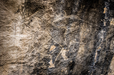 Cows on stone, petroglyph art. Exposition of Petroglyphs in Gobustan near Baku, Azerbaijan.