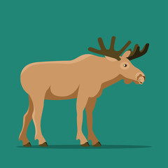 Elk isolated. Vector flat style illustration