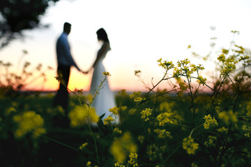 Stunning wedding couple hugs in the lights of evening sun standing on the green field