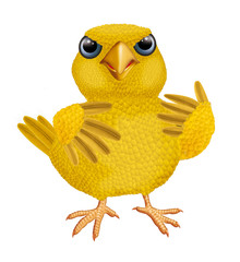 canari, jouet, jaune, poulet, caoutchouc, pâques, isolé, attitude, mascotte, poussin, animal, oiseau, joli, dessin 