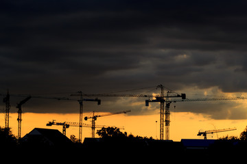 Naklejka premium cranes at sunset