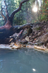 Umpqua hot springs