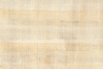 Real old payrus paper background and texture. Close up macro.