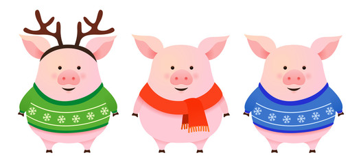 Set of cute cartoon pigs, winter Christmas vector illustration, New Year 2019