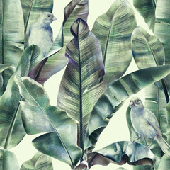 Seamless pattern with banana leaves and exotic birds on a gentle beige background. Tropical background in tinted green colors for fabrics, wallpapers, textiles. Illustration with colored pencils.