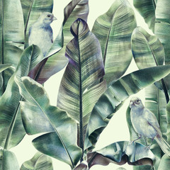 Cotton fabric Seamless pattern with banana leaves and exotic birds on a gentle beige background. Tropical background in tinted green colors for fabrics, wallpapers, textiles. Illustration with colored pencils.