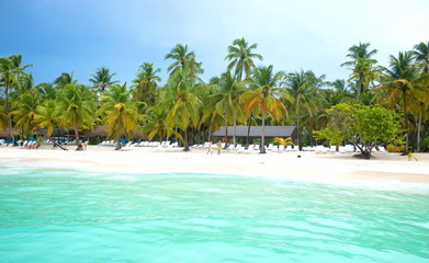 Fototapeta na wymiar tropical beach in dominicana