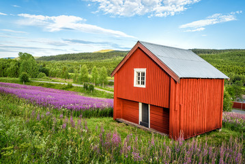 Typical red shed in Swedish hills