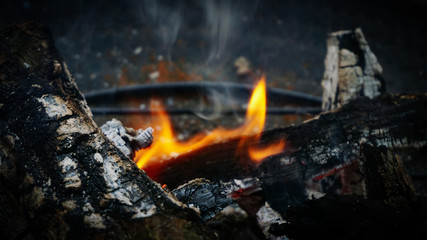 The flame of fire burns in the brazier. 