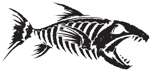 Fish skeleton